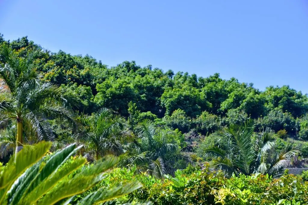 Casa Mango Nerja Villa